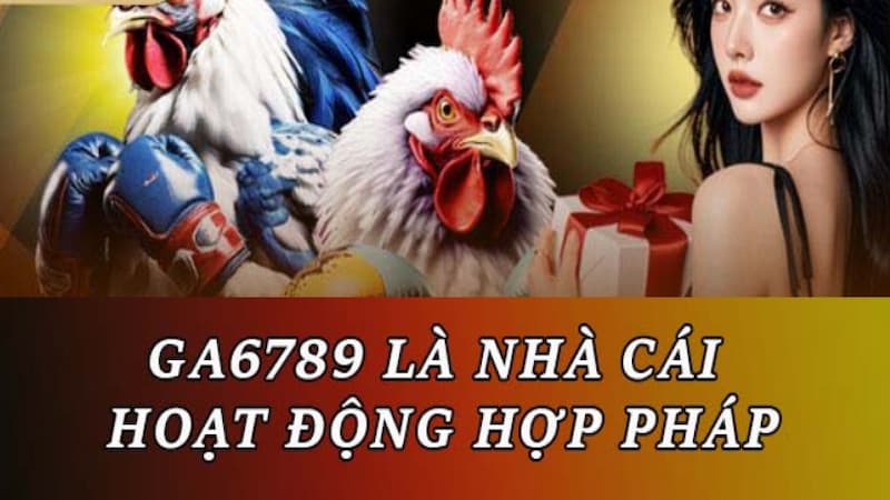 GA6789 – Sân chơi giải trí nổi tiếng với đá gà