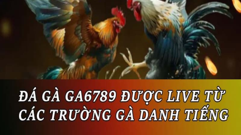 Đá Gà săn tiền thưởng nhanh chóng